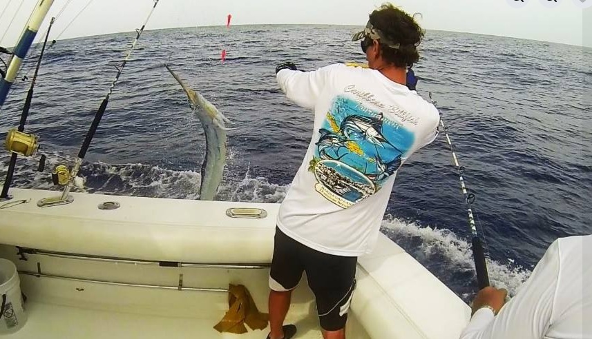 A la mar: Pescadores de seis países competirán en Torneo de Pesca al Marlin Blanco en Cabeza de Toro